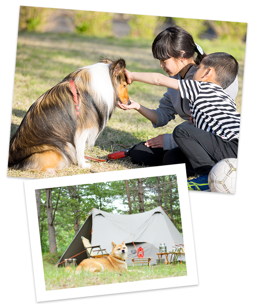 WATAWAN（ワタワン）