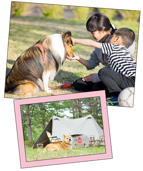 WATAWAN（ワタワン）